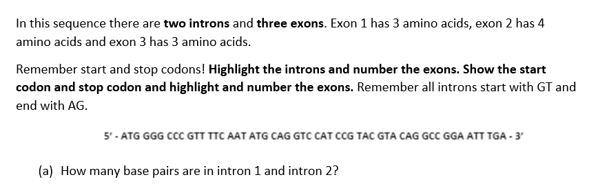 In this sequence there are two introns and three exons. Exon 1 has 3 amino acids, exon 2 has 4
amino acids and exon 3 has 3 amino acids.
Remember start and stop codons! Highlight the introns and number the exons. Show the start
codon and stop codon and highlight and number the exons. Remember all introns start with GT and
end with AG.
5' - ATG GGG CCC GTT TTC AAT ATG CAG GTC CAT CCG TAC GTA CAG GCC GGA ATT TGA - 3'
(a) How many base pairs are in intron 1 and intron 2?
