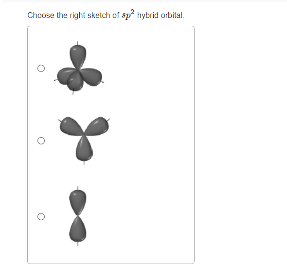 Choose the right sketch of sp hybrid orbital.
