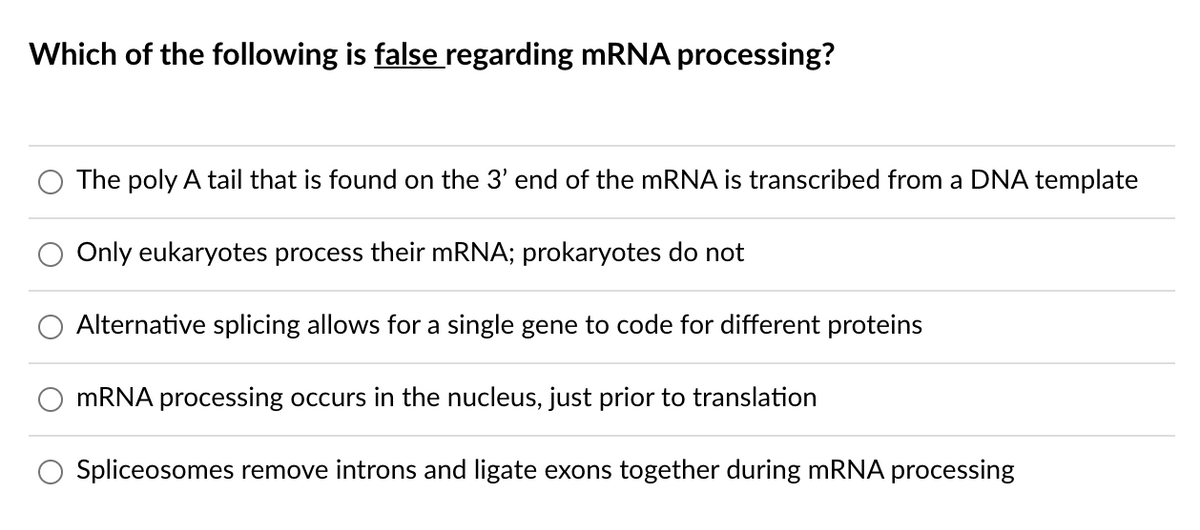 Which of the following is false regarding mRNA processing?
The poly A tail that is found on the 3' end of the mRNA is transcribed from a DNA template
Only eukaryotes process their mRNA; prokaryotes do not
Alternative splicing allows for a single gene to code for different proteins
MRNA processing occurs in the nucleus, just prior to translation
O Spliceosomes remove introns and ligate exons together during mRNA processing
