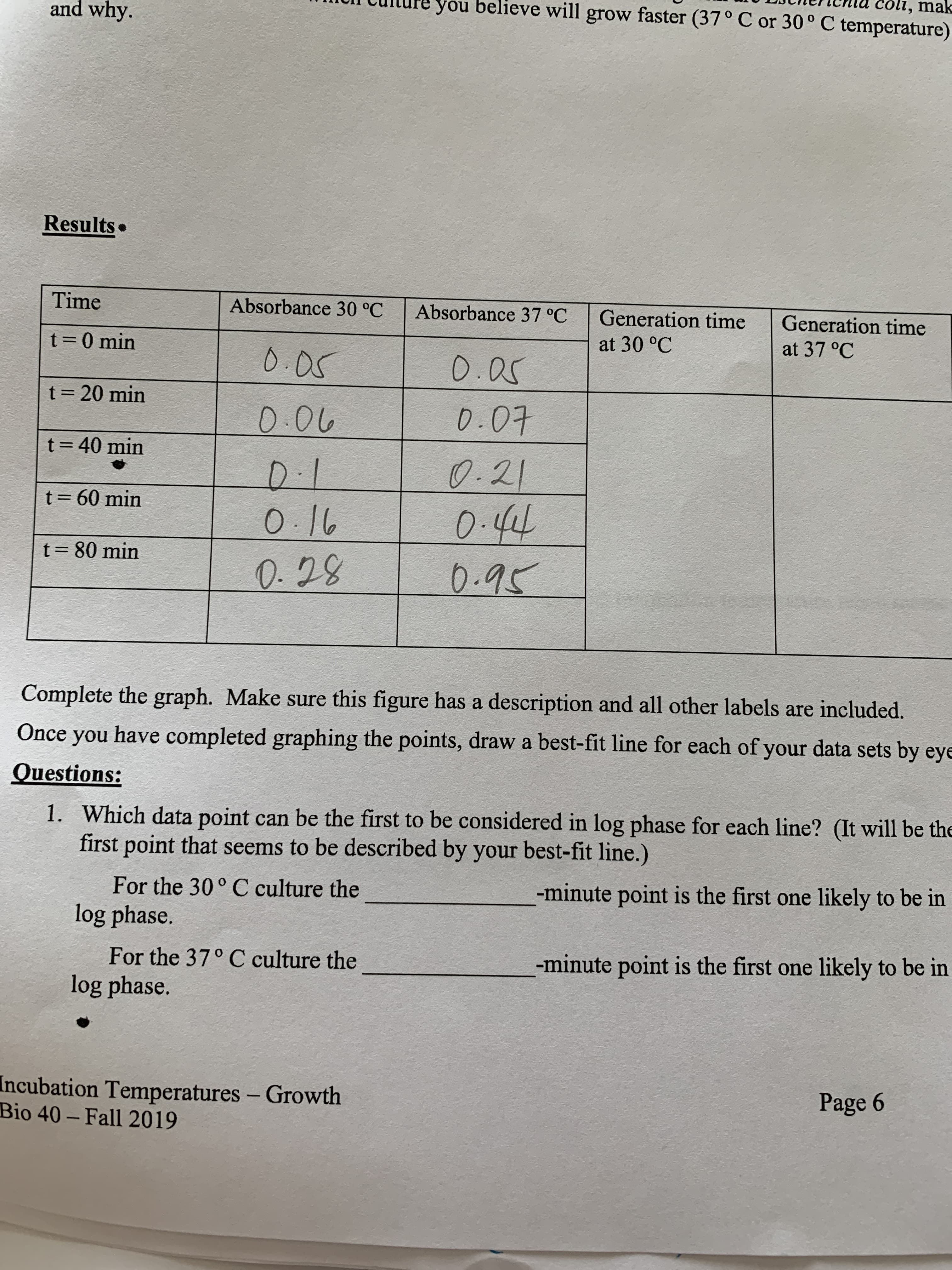 coli, mak
you believe will grow faster (37° C or 30° C temperature)
and why.
Results•
Time
Absorbance 30 °C
Absorbance 37 °C
Generation time
Generation time
t=0 min
at 30 °C
at 37 °C
0.05
0.05
t= 20 min
0.06
0.07
t= 40 min
%3D
0.1
0.16
0.28
0.21
0.44
t = 60 min
t= 80 min
%3D
0.95
Complete the graph. Make sure this figure has a description and all other labels are included.
Once you have completed graphing the points, draw a best-fit line for each of your data sets by eye
Questions:
1. Which data point can be the first to be considered in log phase for each line? (It will be the
first point that seems to be described by your best-fit line.)
For the 30° C culture the
-minute point is the first one likely to be in
log phase.
For the 37° C culture the
-minute point is the first one likely to be in
log phase.
Incubation Temperatures - Growth
Bio 40- Fall 2019
Page 6
