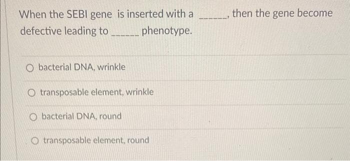 When the SEBI gene is inserted with a
defective leading to
phenotype.
va da vam dan
bacterial DNA, wrinkle
Otransposable element, wrinkle
bacterial DNA, round
Otransposable element, round
then the gene become
