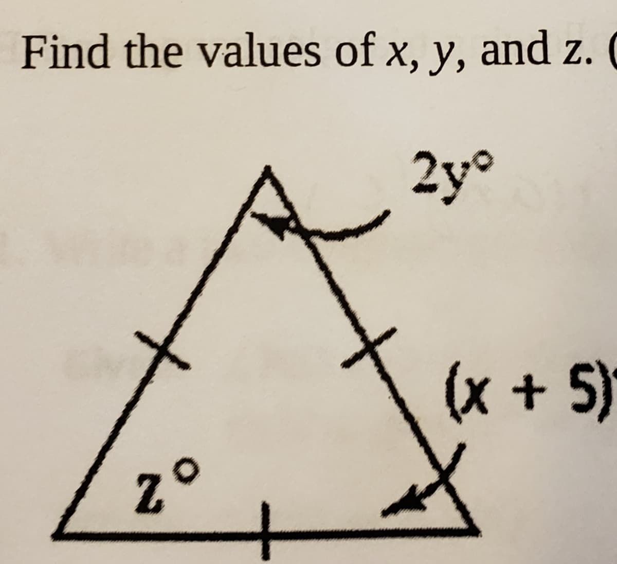 Find the values of x, y, and z.
2y°
(x + 5)
z°
