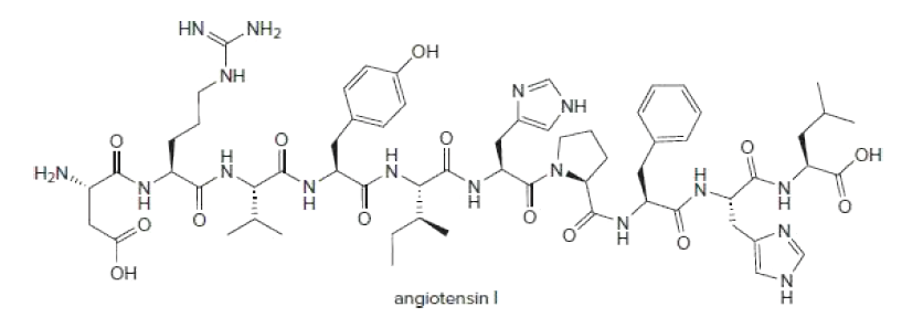 HN,
NH2
Он
NH
NH
H2N,,
Он
'N.
`N,
Н
N'
N'
ОН
N.
angiotensin I
