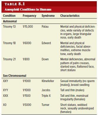 TABLE 8.1
Aneuplold Conditions in Humans
Condition
Frequency Syndrome
Characteristics
Autosomal
Trisomy 13
1/15,000
Patau
Mental and physical deficlen-
cles, wide varlety of defects
In organs, large trilangular
nose, early death
Mental and physical
deficlencles, faclal abnor-
malitles, extreme muscle
Trisomy 18
1/6000
Edward
tone, early death
Trisomy 21
1/800
Down
Mental deficlencles, abnormal
pattern of palm creases,
slanted eyes, flattened face,
short stature
Sex Chromosomal
1/1000
Klinefelter
Sexual Immaturity (no sperm
[males), breast swelling
XXY
XYY
1/1000
Jacobs
Tall and thin (males)
XXX
1/1500
Triple X
Tall and thin, menstrual
Irregularity (females)
хо
1/5000
Turner
Short stature, webbed
neck, sexually undeveloped
(females)
