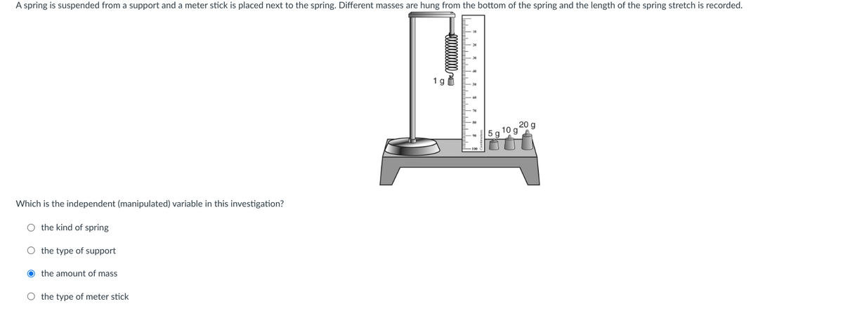 A spring is suspended from a support and a meter stick is placed next to the spring. Different masses are hung from the bottom of the spring and the length of the spring stretch is recorded.
Which is the independent (manipulated) variable in this investigation?
O the kind of spring
O the type of support
O the amount of mass
O the type of meter stick
ell
5 g 10 g
20 g