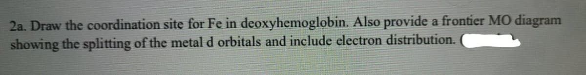 2a. Draw the coordination site for Fe in deoxyhemoglobin. Also provide a frontier MO diagram
showing the splitting of the metal d orbitals and include electron distribution.
