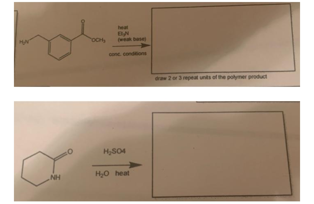 heat
HN
ElN
(weak base)
OCH3
conc. conditions
draw 2 or 3 repeat units of the polymer product
H2SO4
NH
H20 heat
