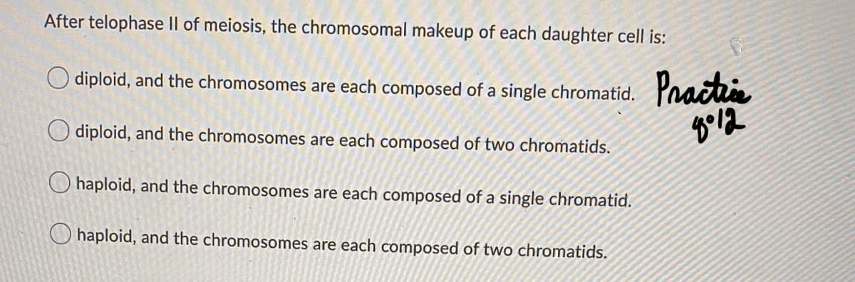 After telophase II of meiosis, the chromosomal makeup of each daughter cell is:
Practia
diploid, and the chromosomes are each composed of a single chromatid.
O diploid, and the chromosomes are each composed of two chromatids.
O haploid, and the chromosomes are each composed of a single chromatid.
O haploid, and the chromosomes are each composed of two chromatids.
