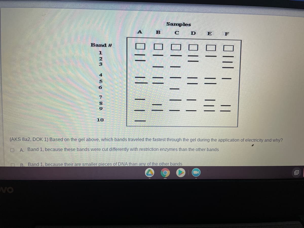 Samples
B
D
E
F
Band #
1
4
6
10
(AKS 8a2, DOK 1) Based on the gel above, which bands traveled the fastest through the gel during the application of electricity and why?
O A. Band 1, because these bands were cut differently with restriction enzymes than the other bands
B. Band 1, because their are smaller pieces of DNA than any of the other bands
VO
||
