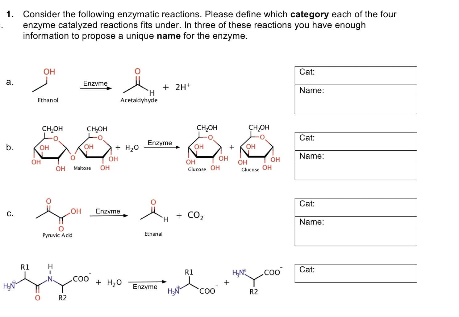 1. Consider the following enzymatic reactions. Please define which category each of the four
enzyme catalyzed reactions fits under. In three of these reactions you have enough
information to propose a unique name for the enzyme.
ОН
Cat:
a.
Enzyme
+ 2H+
Name:
H.
Acetaldyhyde
Ethanol
CH-он
сH-он
ҫH-он
CH-он
Cat:
Enzyme
b.
+ H20
Он
ОН
ОН
Он
Name:
ОН
ОН
ОН
ОН
ОН
ОН
ОН
Maltose
ОН
Glucose OH
Glucose OH
Cat:
Enzyme
но
C.
+ CO2
H.
Name:
Pyruvic Acid
Ethanal
R1
Н
Cat:
R1
H,N
H,N
+ H20
Enzyme
НN
COO
R2
R2
