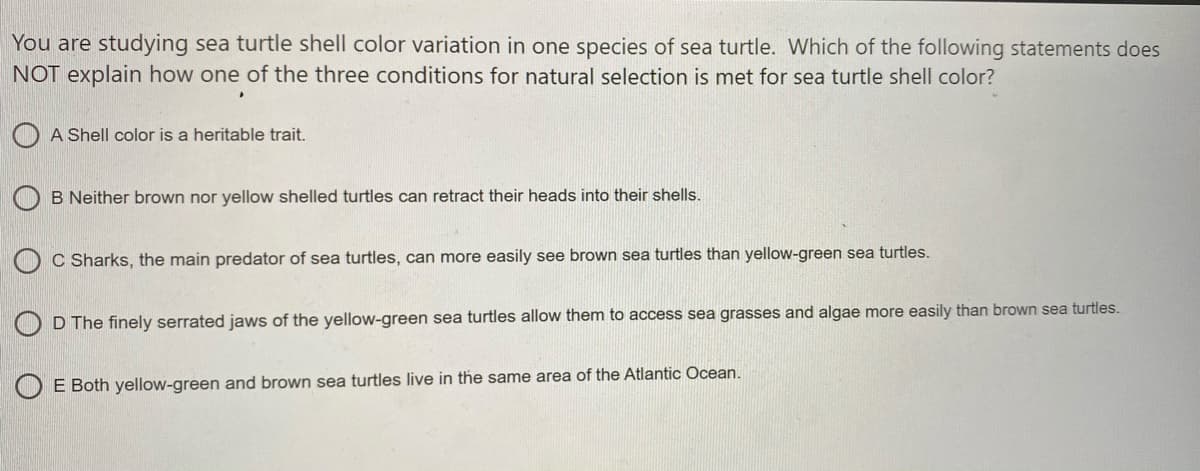 You are studying sea turtle shell color variation in one species of sea turtle. Which of the following statements does
NOT explain how one of the three conditions for natural selection is met for sea turtle shell color?
A Shell color is a heritable trait.
B Neither brown nor yellow shelled turtles can retract their heads into their shells.
O c Sharks, the main predator of sea turtles, can more easily see brown sea turtles than yellow-green sea turtles.
D The finely serrated jaws of the yellow-green sea turtles allow them to access sea grasses and algae more easily than brown sea turtles.
O E Both yellow-green and brown sea turtles live in the same area of the Atlantic Ocean.
