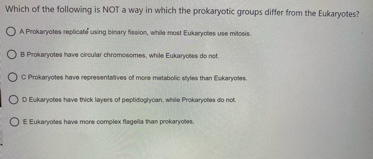 Which of the following is NOT a way in which the prokaryotic groups differ from the Eukaryotes?
O A Prokaryotes replicate using binary fission, while most Eukaryotes use mitosis.
O B Prokaryotes have circular chromosomes, while Eukaryotes do not.
O C Prokaryotes have representatives of more metabolic styles than Eukaryotes.
D Eukaryotes have thick layers of peptidoglycan, while Prokaryotes do not.
O E Eukaryotes have more complex flagella than prokaryotes.
