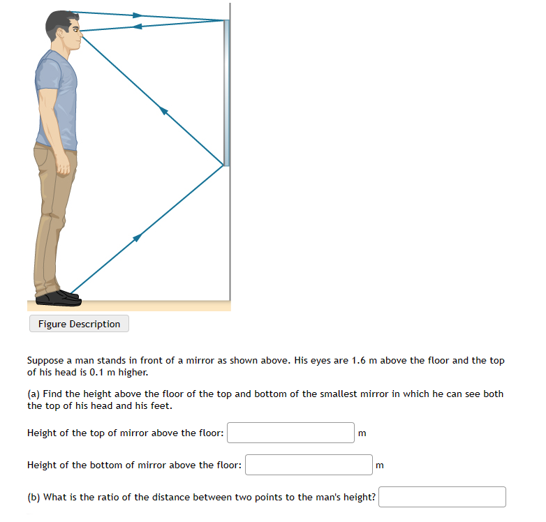 Figure Description
Suppose a man stands in front of a mirror as shown above. His eyes are 1.6 m above the floor and the top
of his head is 0.1 m higher.
(a) Find the height above the floor of the top and bottom of the smallest mirror in which he can see both
the top of his head and his feet.
Height of the top of mirror above the floor:
Height of the bottom of mirror above the floor:
m
m
(b) What is the ratio of the distance between two points to the man's height?