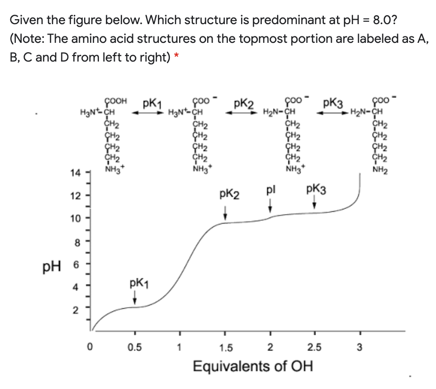 Given the figure below. Which structure is predominant at pH = 8.0?
(Note: The amino acid structures on the topmost portion are labeled as A,
B, C and D from left to right) *
çOOH pK1
H3Nt CH
CH2
CH2
CH2
ČH2
NH3*
poo
H2N-CH
CH2
CH2
GH2
CH2
NH2
foo
H2N-CH
CH2
çoo
pK2
pk3
CH2
CH2
NH3*
NH3*
14 1
pK2
pl
pk3
12
10
pH 6
4
pK1
2
0.5
1
1.5
2
2.5
3
Equivalents of OH
