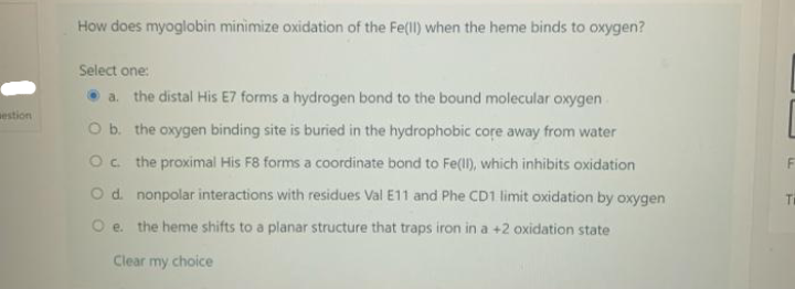 aestion
How does myoglobin minimize oxidation of the Fe(II) when the heme binds to oxygen?
Select one:
a. the distal His E7 forms a hydrogen bond to the bound molecular oxygen
O b. the oxygen binding site is buried in the hydrophobic core away from water
O c. the proximal His F8 forms a coordinate bond to Fe(II), which inhibits oxidation
O d. nonpolar interactions with residues Val E11 and Phe CD1 limit oxidation by oxygen
Oe. the heme shifts to a planar structure that traps iron in a +2 oxidation state
Clear my choice