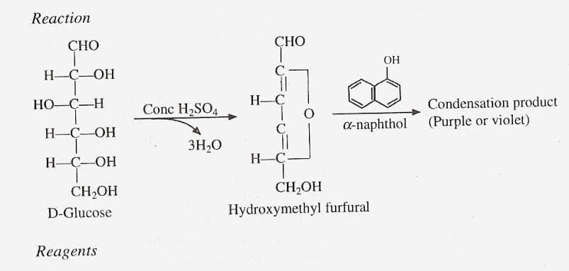 Reaction
СНО
GHO
8.
OH
C
H-C-OH
НО-С—Н
H-Ç
Condensation product
Conc H2SO4
C
0-naphthol (Purple or violet)
H-C-OH
3H,0
Н-С—ОН
H-C
CH2OH
CH,OH
D-Glucose
Hydroxymethyl furfural
Reagents
