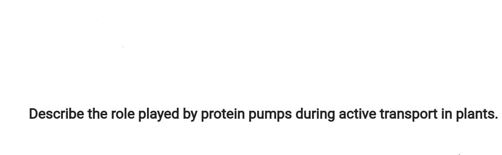 Describe the role played by protein pumps during active transport in plants.
