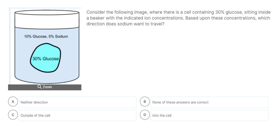 Consider the following image, where there is a cell containing 30% glucose, sitting inside
a beaker with the indicated ion concentrations. Based upon these concentrations, which
direction does sodium want to travel?
10% Glucose, 5% Sodium
30% Glucose
Q Zoom
A
Neither direction
B
None of these answers are correct
Outside of the cell
D
Into the cell
