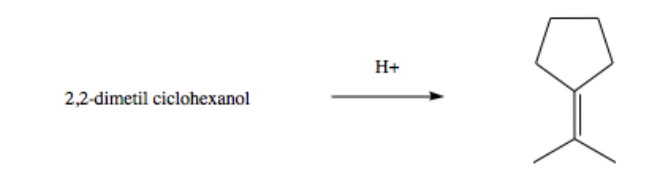 H+
2,2-dimetil ciclohexanol
