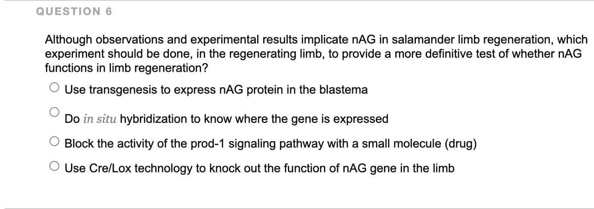 QUESTION 6
Although observations and experimental results implicate nAG in salamander limb regeneration, which
experiment should be done, in the regenerating limb, to provide a more definitive test of whether nAG
functions in limb regeneration?
Use transgenesis to express nAG protein in the blastema
Do in situ hybridization to know where the gene is expressed
Block the activity of the prod-1 signaling pathway with a small molecule (drug)
O Use Cre/Lox technology to knock out the function of nAG gene in the limb
