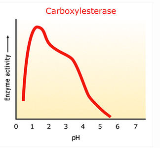 Carboxylesterase
0 1 2 3 4 5 6 7
pH
Enzyme activity
