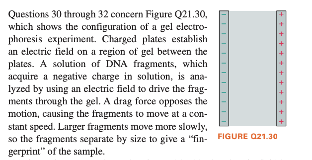 Questions 30 through 32 concern Figure Q21.30,
which shows the configuration of a gel electro-
phoresis experiment. Charged plates establish
an electric field on a region of gel between the
plates. A solution of DNA fragments, which
acquire a negative charge in solution, is ana-
lyzed by using an electric field to drive the frag-
ments through the gel. A drag force opposes the
motion, causing the fragments to move at a con-
stant speed. Larger fragments move more slowly,
so the fragments separate by size to give a “fin- FIGURE Q21.30
gerprint" of the sample.

