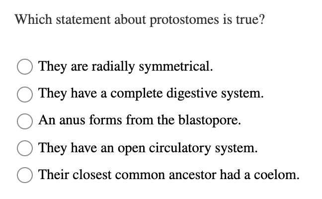 Which statement about protostomes is true?
They are radially symmetrical.
They have a complete digestive system.
An anus forms from the blastopore.
They have an open circulatory system.
Their closest common ancestor had a coelom.
