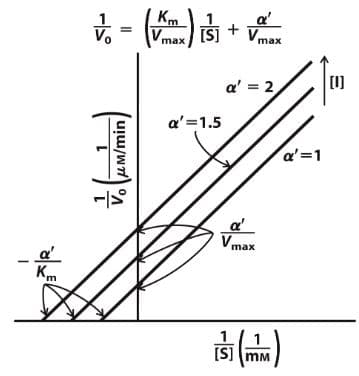 Km
m
Km
V. - (K) ¹
max
a' = 1.5
μm/min/
-10°
[S] Vmax
+
a' = 2
Vmax
[S] MM
a'=1
[0]