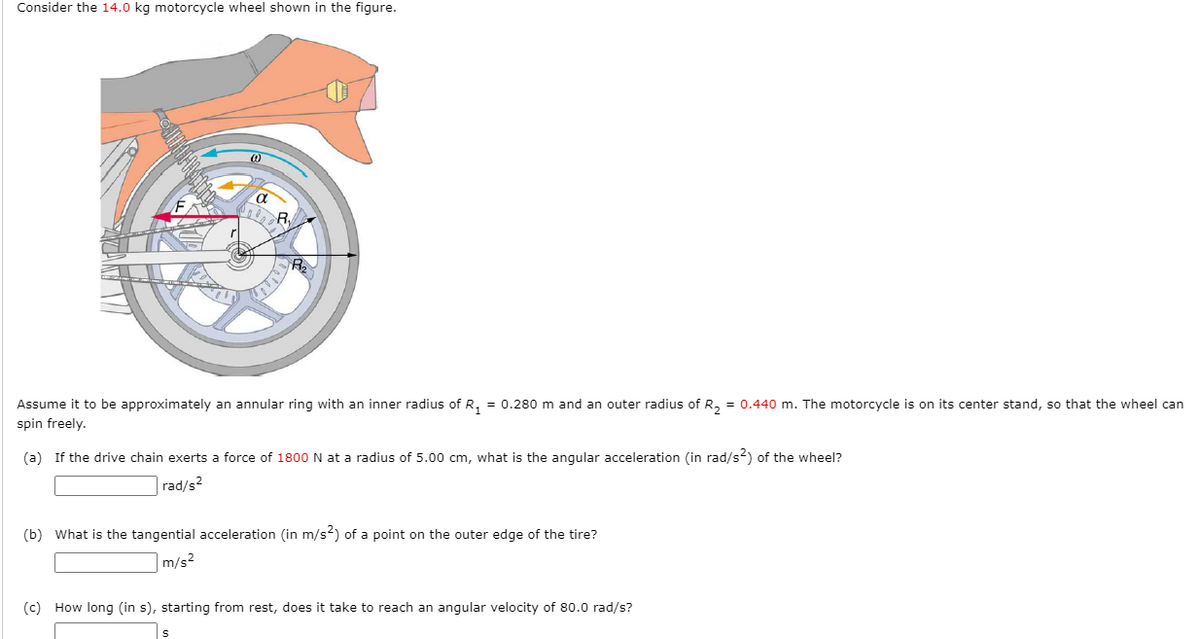 Consider the 14.0 kg motorcycle wheel shown in the figure.
R
Assume it to be approximately an annular ring with an inner radius of R, = 0.280 m and an outer radius of R, = 0.440 m. The motorcycle is on its center stand, so that the wheel can
spin freely.
(a) If the drive chain exerts a force of 1800 N at a radius of 5.00 cm, what is the angular acceleration (in rad/s2) of the wheel?
rad/s2
(b) What is the tangential acceleration (in m/s2) of a point on the outer edge of the tire?
|m/s2
(c) How long (in s), starting from rest, does it take to reach an angular velocity of 80.0 rad/s?
