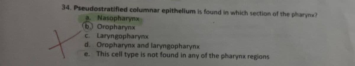 34. Pseudostratified columnar epithelium is found in which section of the pharynx?
a. Nasopharynx
b) Oropharynx
C. Laryngopharynx
d. Oropharynx and laryngopharynx
e. This cell type is not found in any of the pharynx regions
