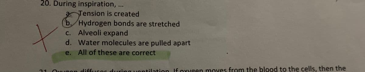 20. During inspiration, ...
a Tension is created
b. Hydrogen bonds are stretched
c. Alveoli expand
d. Water molecules are pulled apart
e. All of these are correct
Ouaon diffucor during vontilation If oxygen moves from the blood to the cells, then the
