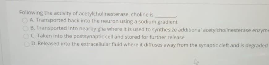 Following the activity of acetylcholinesterase, choline is
A. Transported back into the neuron using a sodium gradient
B. Transported into nearby glia where it is used to synthesize additional acetylcholinesterase enzyme
OC. Taken into the postsynaptic cell and stored for further release
O D. Released into the extracellular fluid where it diffuses away from the synaptic cleft and is degraded
