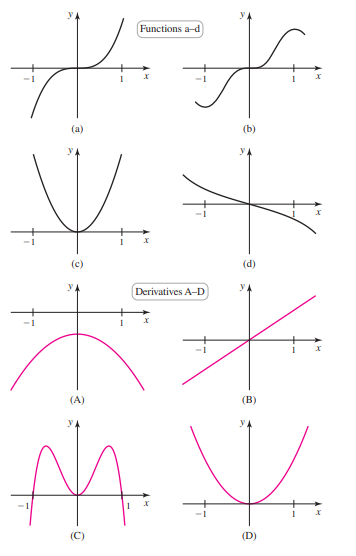 Functions a-d
(a)
(b)
(c)
(d)
У
Derivatives A-D
(A)
(B)
У.
