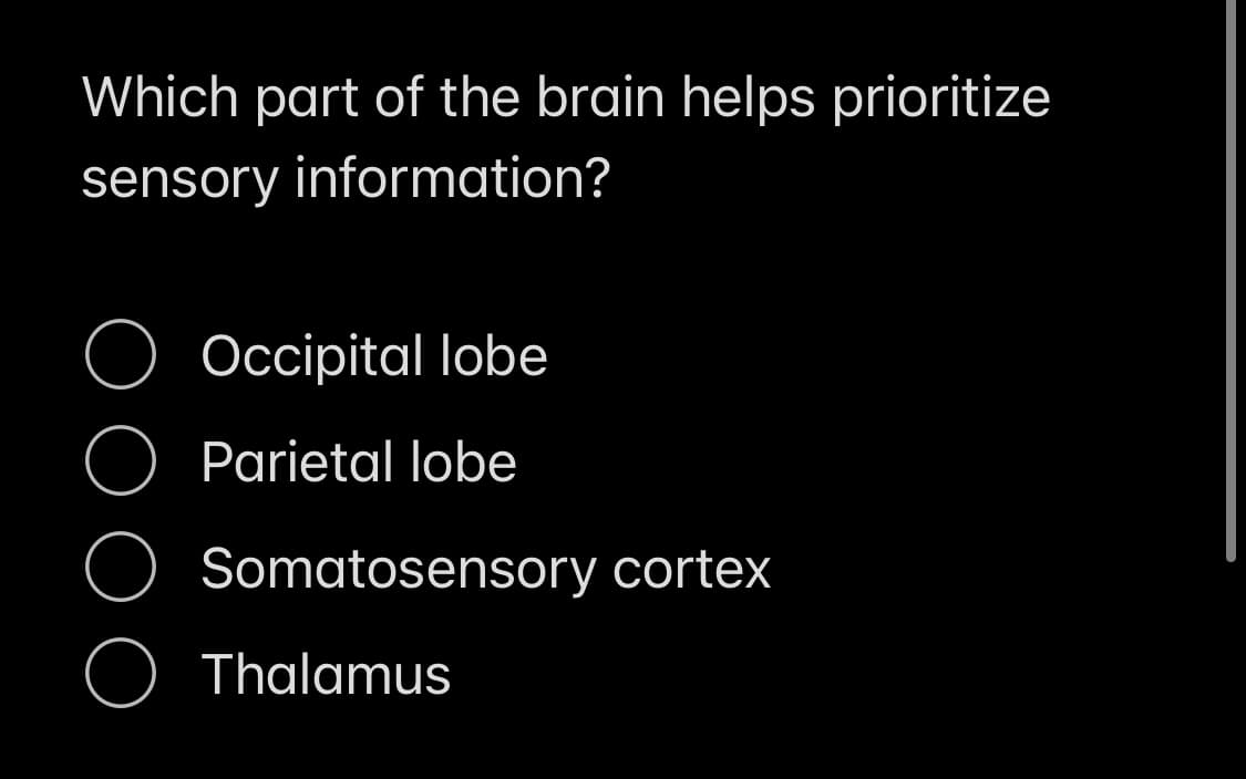 Which part of the brain helps prioritize
sensory information?
Occipital lobe
Parietal lobe
Somatosensory cortex
Thalamus
