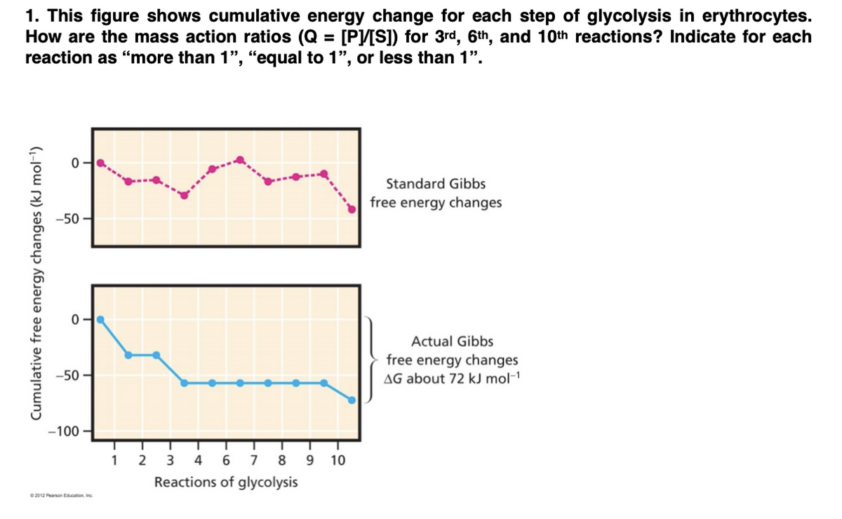 1. This figure shows cumulative energy change for each step of glycolysis in erythrocytes.
How are the mass action ratios (Q = [P[S]) for 3rd, 6th, and 10th reactions? Indicate for each
reaction as "more than 1", "equal to 1", or less than 1".
%3D
Standard Gibbs
free energy changes
-50·
Actual Gibbs
free energy changes
AG about 72 kJ mol-1
-50 –
-100 –
1
2
3
4
6
7
8
9
10
Reactions of glycolysis
2012 Pearson Education, Inc
Cumulative free energy changes (kJ mol-1)
