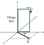 Hinge
line
