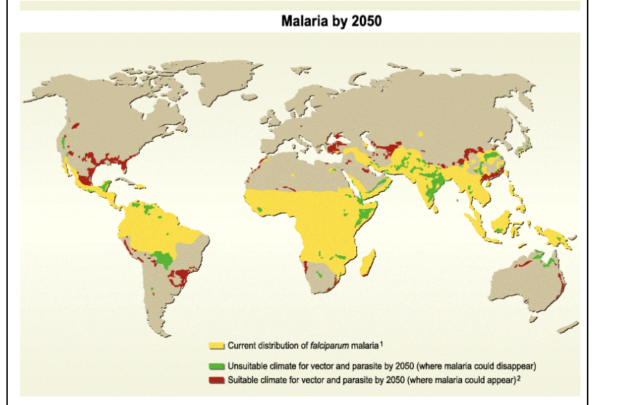 Malaria by 2050
Current distribution of falciparum malaria¹
Unsuitable climate for vector and parasite by 2050 (where malaria could disappear)
Suitable climate for vector and parasite by 2050 (where malaria could appear)2