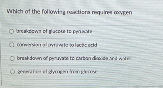 Which of the following reactions requires oxygen
breakdown of glucose to pyruvate
conversion of pyruvate to lactic acid
O breakdown of pyruvate to carbon dioxide and water
generation of glycogen from glucose
