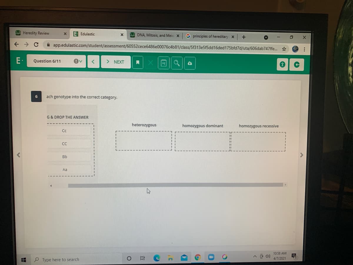 A Heredity Review
E Edulastic
W DNA, Mitosis, and Meic x
G principles of hereditary x
A app.edulastic.com/student/assessment/60552cece6486e00076c4b81/class/5f313e5f5dd16ded175bfd7d/uta/606dab747ffe. *
E-
Question 6/11
> NEXT
6
ach genotype into the correct category.
G& DROP THE ANSWER
heterozygous
homozygous dominant
homozygous recessive
Cc
%3D
CC
Bb
Aa
10:58 AM
4/7/2021
P Type here to search
=====:
