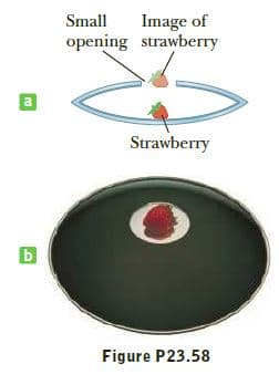 Image of
opening strawberry
Small
Strawberry
Figure P23.58
