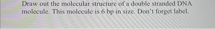 Draw out the molecular structure of a double stranded DNA
molecule. This molecule is 6 bp in size. Don't forget label.