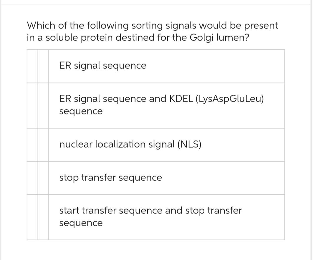 Which of the following sorting signals would be present
in a soluble protein destined for the Golgi lumen?
ER signal sequence
ER signal sequence and KDEL (LysAspGluLeu)
sequence
nuclear localization signal (NLS)
stop transfer sequence
start transfer sequence and stop transfer
sequence