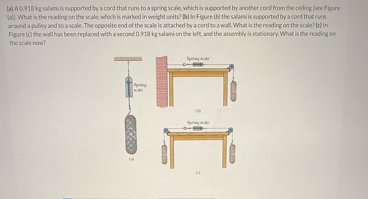 (a) A 0.918 kg salami is supported bya cord that runs to a spring scale, which is supported by another cord from the ceiling (see Figure
(a)). What is the reading on the scale, which is marked in weight units? (b) In Figure (b) the salami is supported by a cord that runs
around a pulley and to a scale. The opposite end of the scale is attached by a cord to a wall. What is the reading on the scale? (c) In
Figure (c) the wall has been replaced with a second 0.918 kg salami on the left, and the assembly is stationary. What is the reading on
the scale now?
Spring scale
Spring
scale
(6)
Spring scale
(a)
(c)
