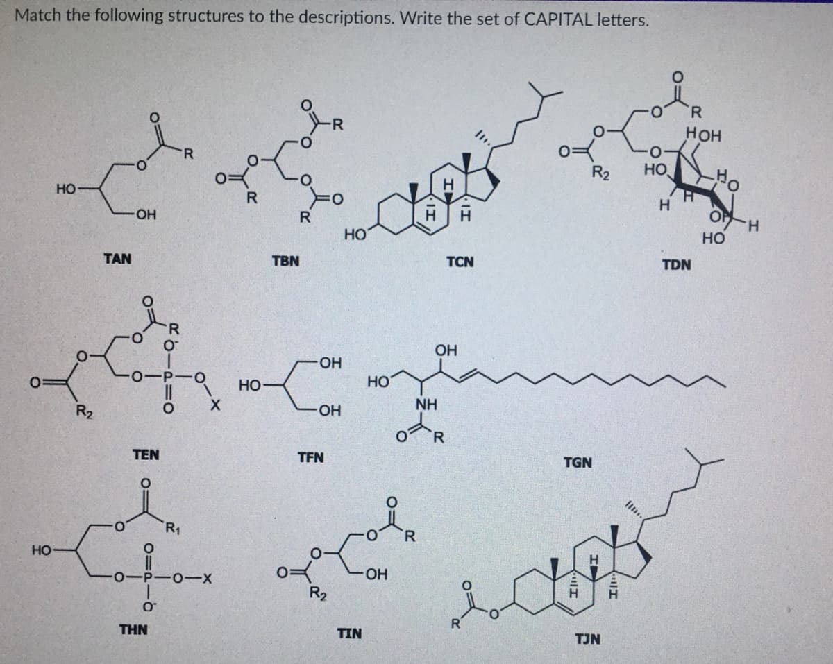 Match the following structures to the descriptions. Write the set of CAPITAL letters.
R.
Нон
R.
HO
HO
R
HO
H.
но
TAN
TBN
TCN
TDN
OH
HO.
но-
Но
NH
R2
OH
R.
TEN
TFN
TGN
R1
R
HO
OH
R2
THN
TIN
TJN
會 o
