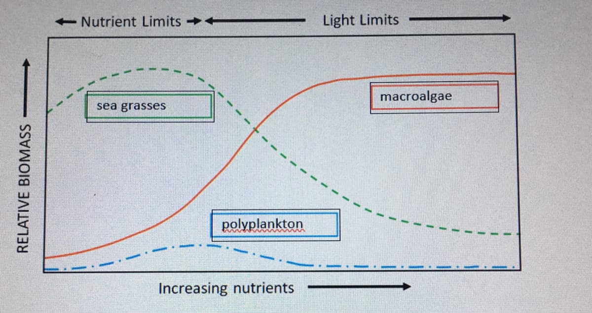 -
Nutrient Limits
Light Limits
macroalgae
sea grasses
polyplankton
Increasing nutrients
RELATIVE BIOMASS
