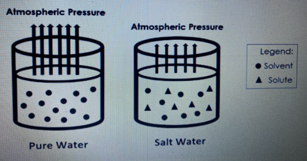 Atmospheric Pressure
Atmospheric Pressure
Legend:
• Solvent
A Solute
Salt Water
Pure Water
