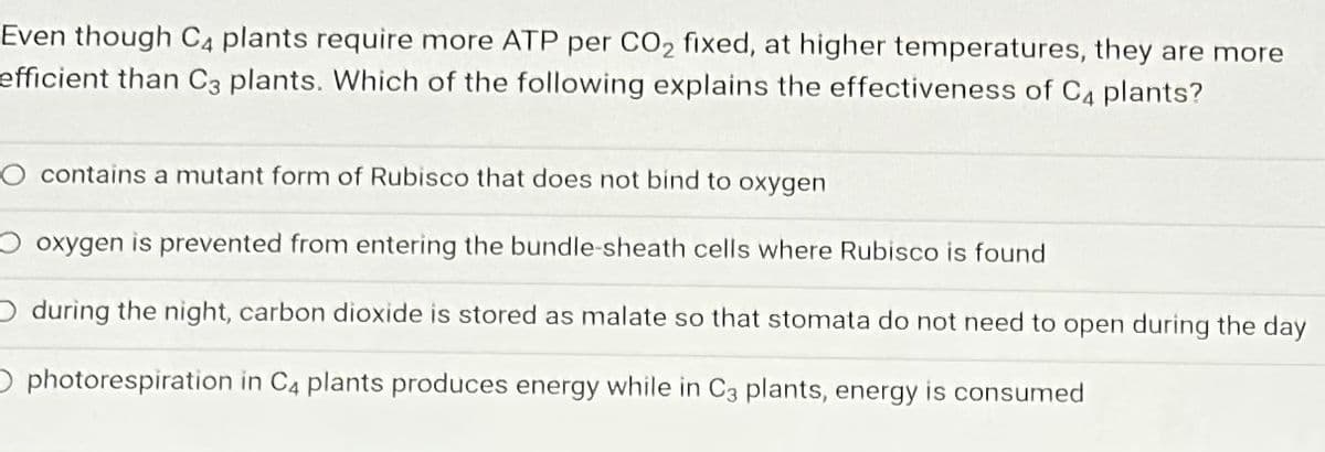 Even though C4 plants require more ATP per CO₂ fixed, at higher temperatures, they are more
efficient than C3 plants. Which of the following explains the effectiveness of C4 plants?
contains a mutant form of Rubisco that does not bind to oxygen
oxygen is prevented from entering the bundle-sheath cells where Rubisco is found
Oduring the night, carbon dioxide is stored as malate so that stomata do not need to open during the day
O photorespiration in C4 plants produces energy while in C3 plants, energy is consumed