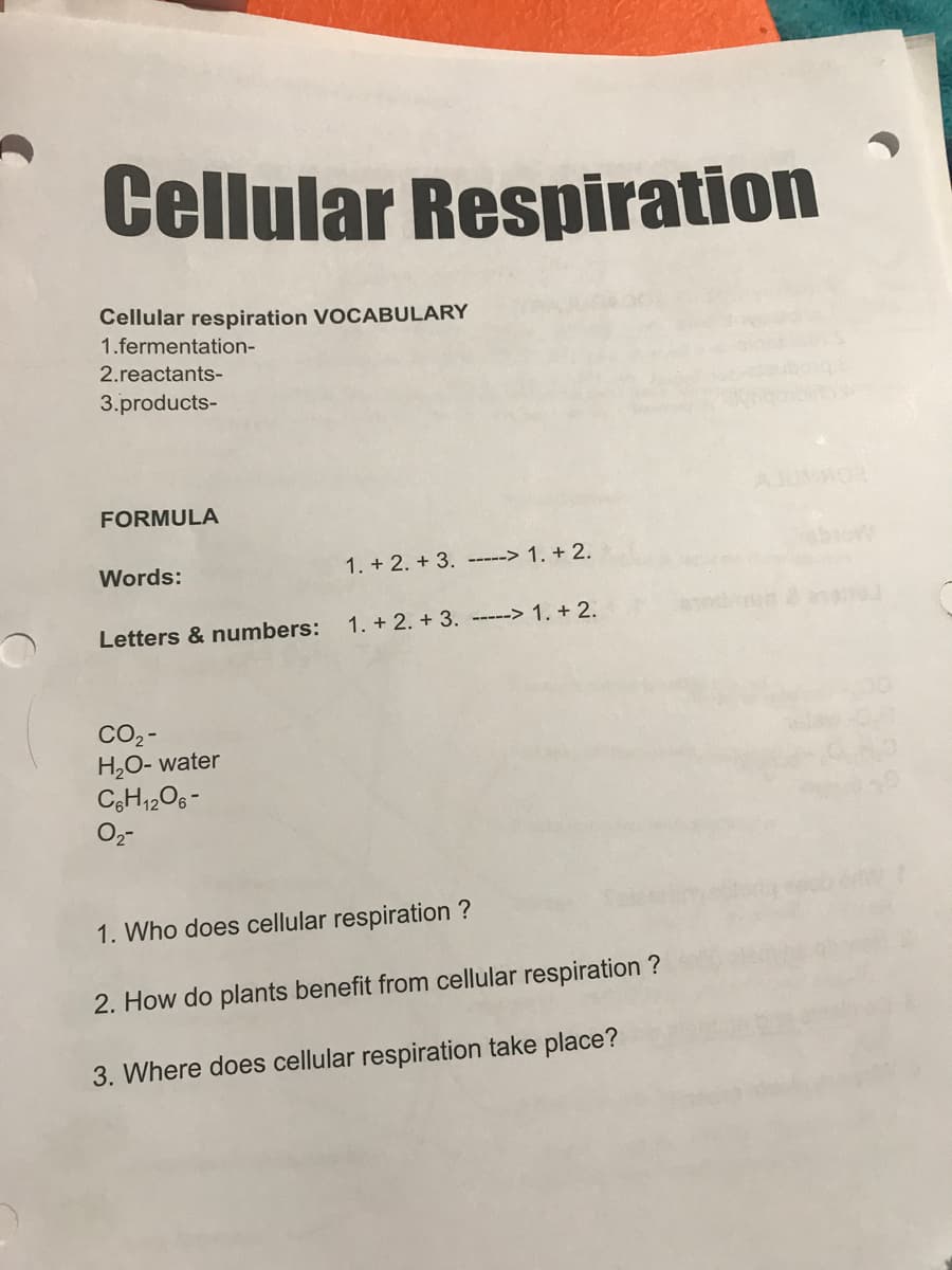 Cellular Respiration
Cellular respiration VOCABULARY
1.fermentation-
2.reactants-
3.products-
AJUMRO
FORMULA
Words:
1. + 2. + 3. -----> 1. + 2.
Letters & numbers:
1. + 2. + 3. -----> 1. + 2.
CO2 -
H,O- water
CH1206-
1. Who does cellular respiration ?
2. How do plants benefit from cellular respiration ?
3. Where does cellular respiration take place?
