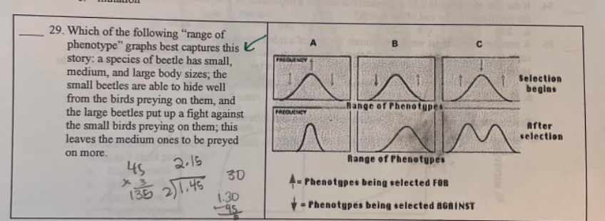 29. Which of the following "range of
phenotype" graphs best captures this
story: a species of beetle has small,
medium, and large body sizes; the
small beetles are able to hide well
from the birds preying on them, and
the large beetles put up a fight against
the small birds preying on them; this
leaves the medium ones to be preyed
on more.
45
2.15
30
* 1 3 2)1, 45
135
1.30
95
B
FREQUENCY
Range of Phenotypes.
FREQUENCY
Range of Phenotypes
4- Phenotypes being selected FOR
-Phenotypes being selected AGAINST
C
n
Selection
begins
After
selection