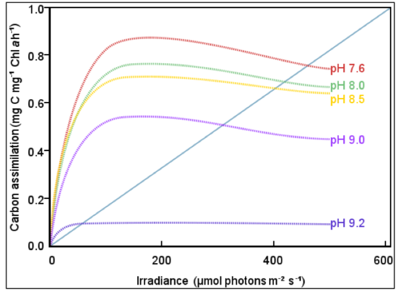 1.0
0.8-
рH 7.6
-pH 8.0
pH 8.5
0.6-
"pH 9.0
0.4-
0.2-
-pH 9.2
0.0
200
400
600
Irradiance (µmol photons m²² s*)
Carbon assimilation (mg C mg1 Chl ah")
